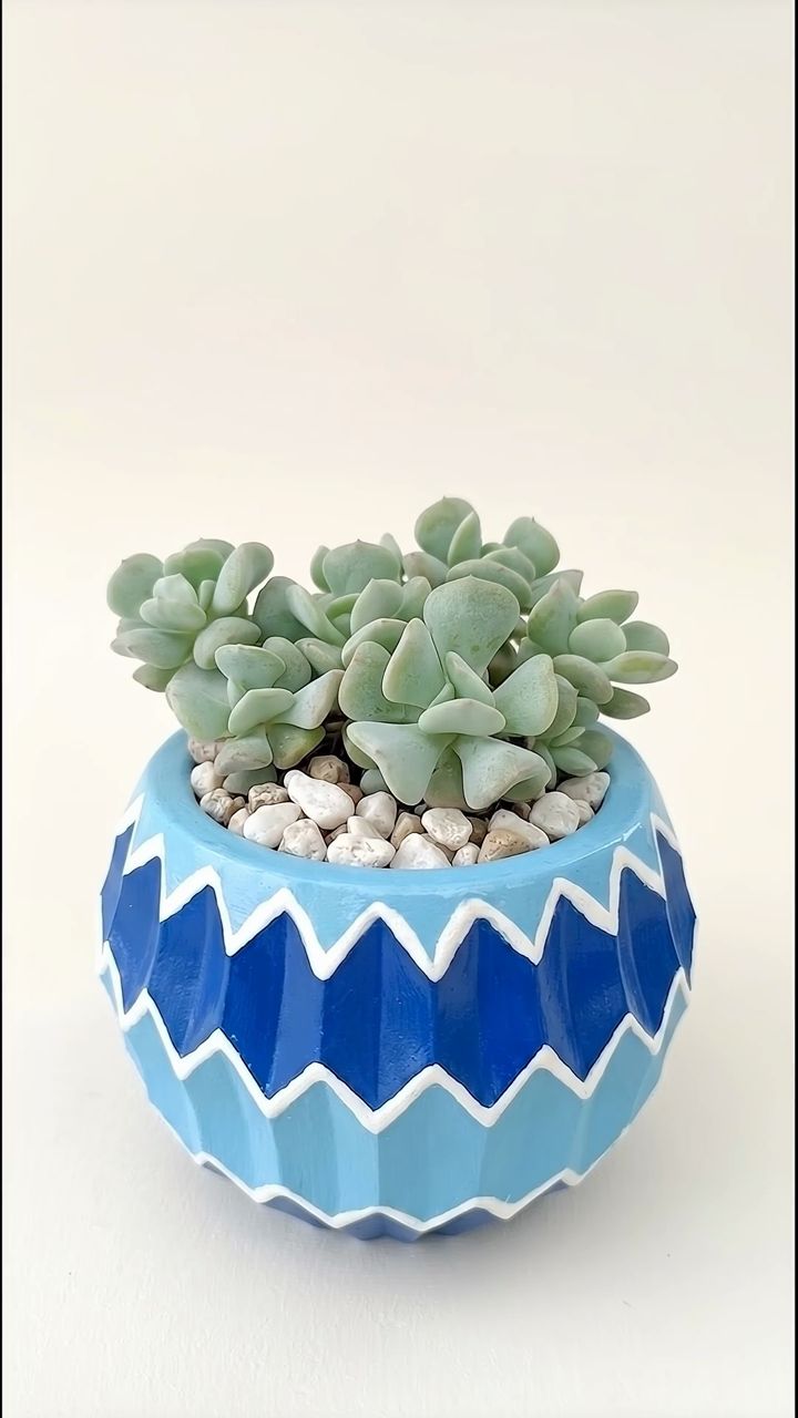 Materita Rombos azul con una Echeveria y piedritas blancas